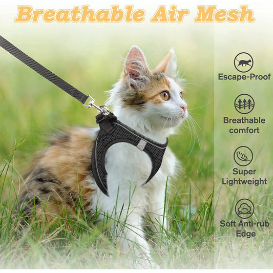 Cat Harness and Leash