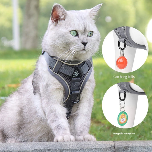 Chest Harness with Lead for Dogs and Cats